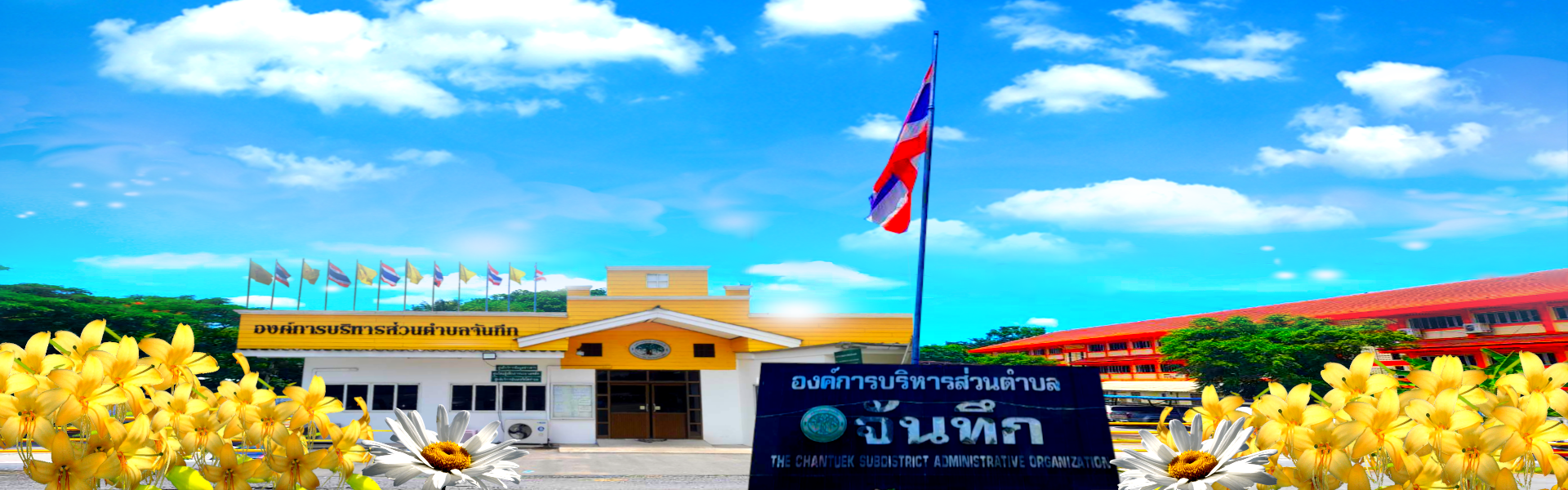 พื้นหลัง